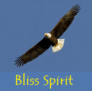 Bliss Spirit