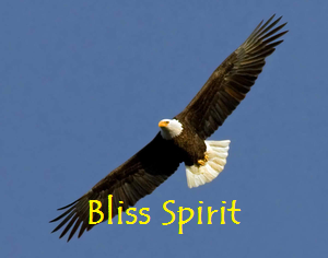bliss spirit